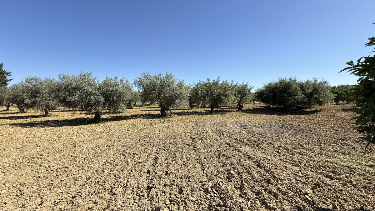 Se vende Finca - Cortijo de 7 dormitorios en Costa Del Sol, Málaga, España