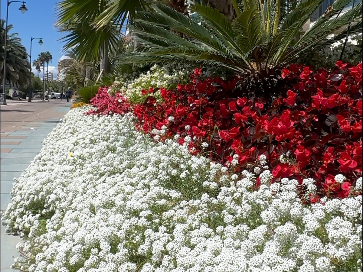 Se vende Apartamento Planta Media de 3 dormitorios en Costa Del Sol, Málaga, España