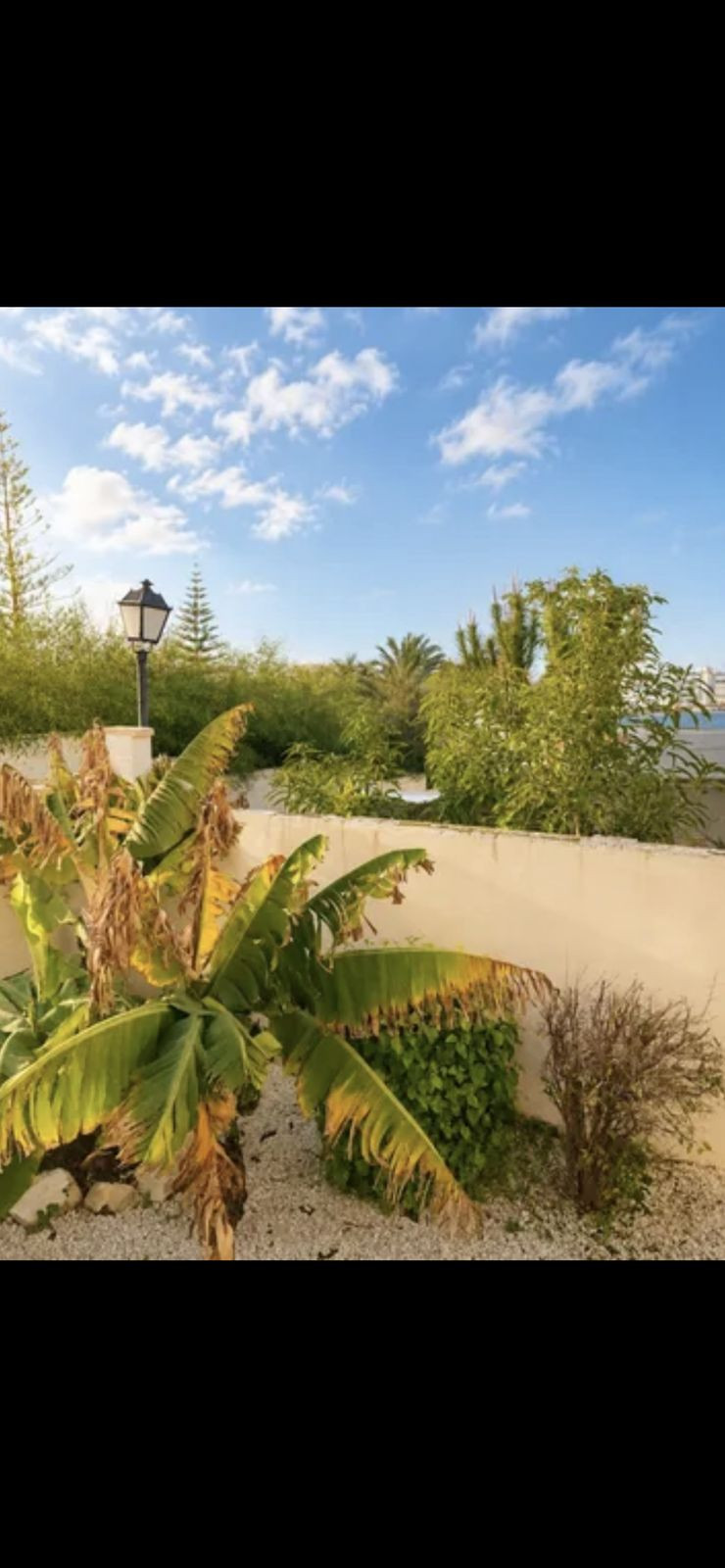 Se vende Estudio en Planta Baja de 1 dormitorios en Costa Del Sol, Málaga, España