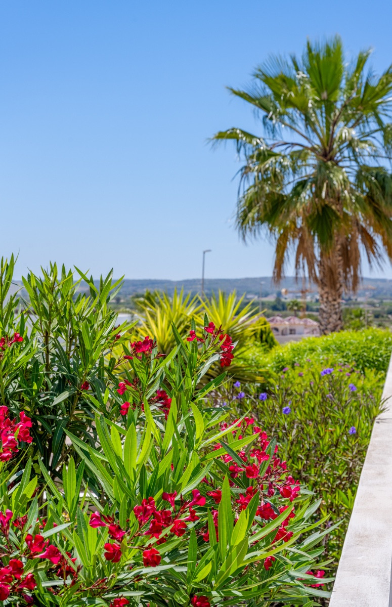 Se vende Villa - Chalet de 3 dormitorios en Costa Blanca, Alicante, España
