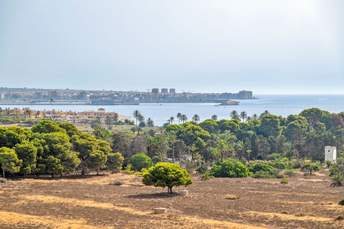 2 Bed Apartment for sale in Punta Prima Costa Blanca, Alicante, Spain