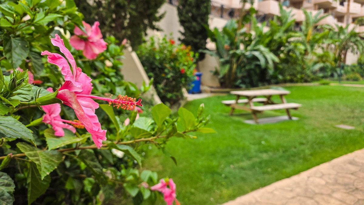 2 Bed Apartment for sale in La Duquesa Costa Del Sol, Málaga, Spain