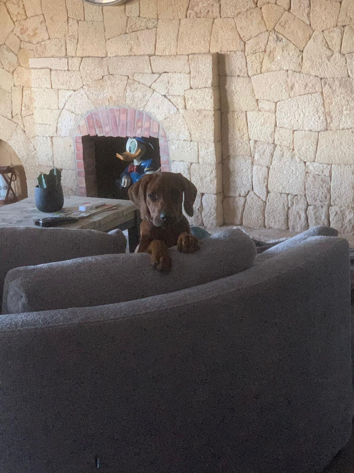 Se vende Finca - Cortijo de 5 dormitorios en Costa Blanca, Alicante, España