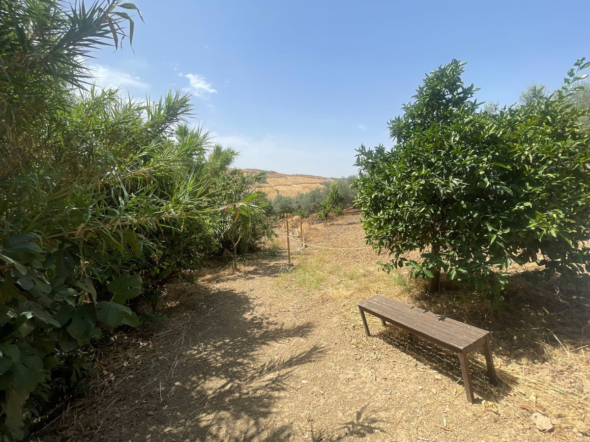 Se vende Cama y Desayuno de 7 dormitorios en Costa Del Sol, Málaga, España