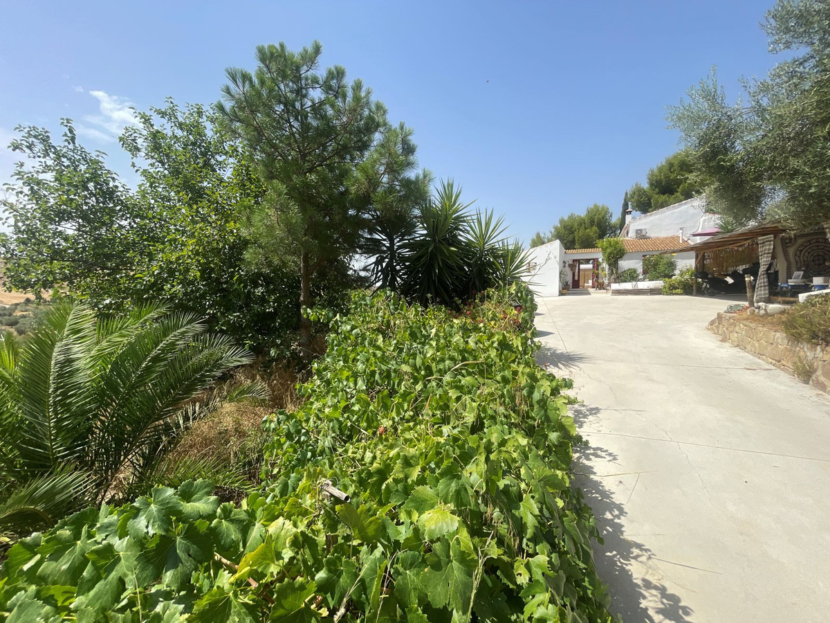 Se vende Cama y Desayuno de 7 dormitorios en Costa Del Sol, Málaga, España