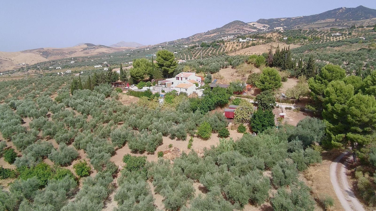 Se vende Cama y Desayuno de 7 dormitorios en Costa Del Sol, Málaga, España
