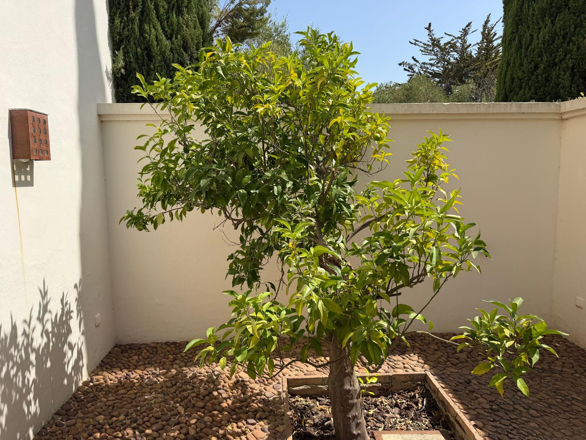 Se vende Villa - Chalet de 7 dormitorios en Costa Del Sol, Cadiz, España