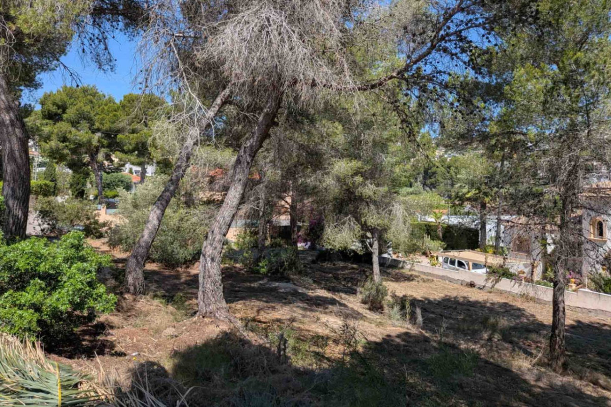 Plots for sale in Moraira Costa Blanca, Alicante, Spain
