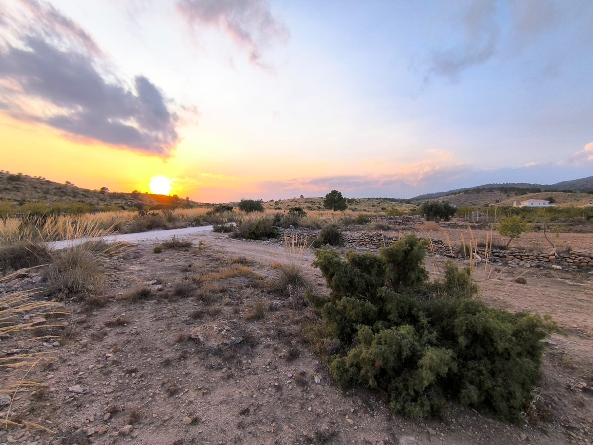 Plots for sale in Pinoso Costa Blanca, Alicante, Spain