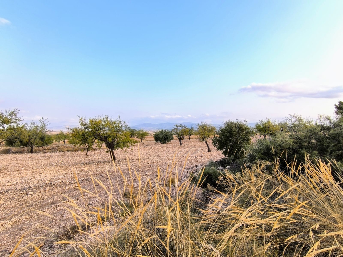 Plots for sale in Pinoso Costa Blanca, Alicante, Spain