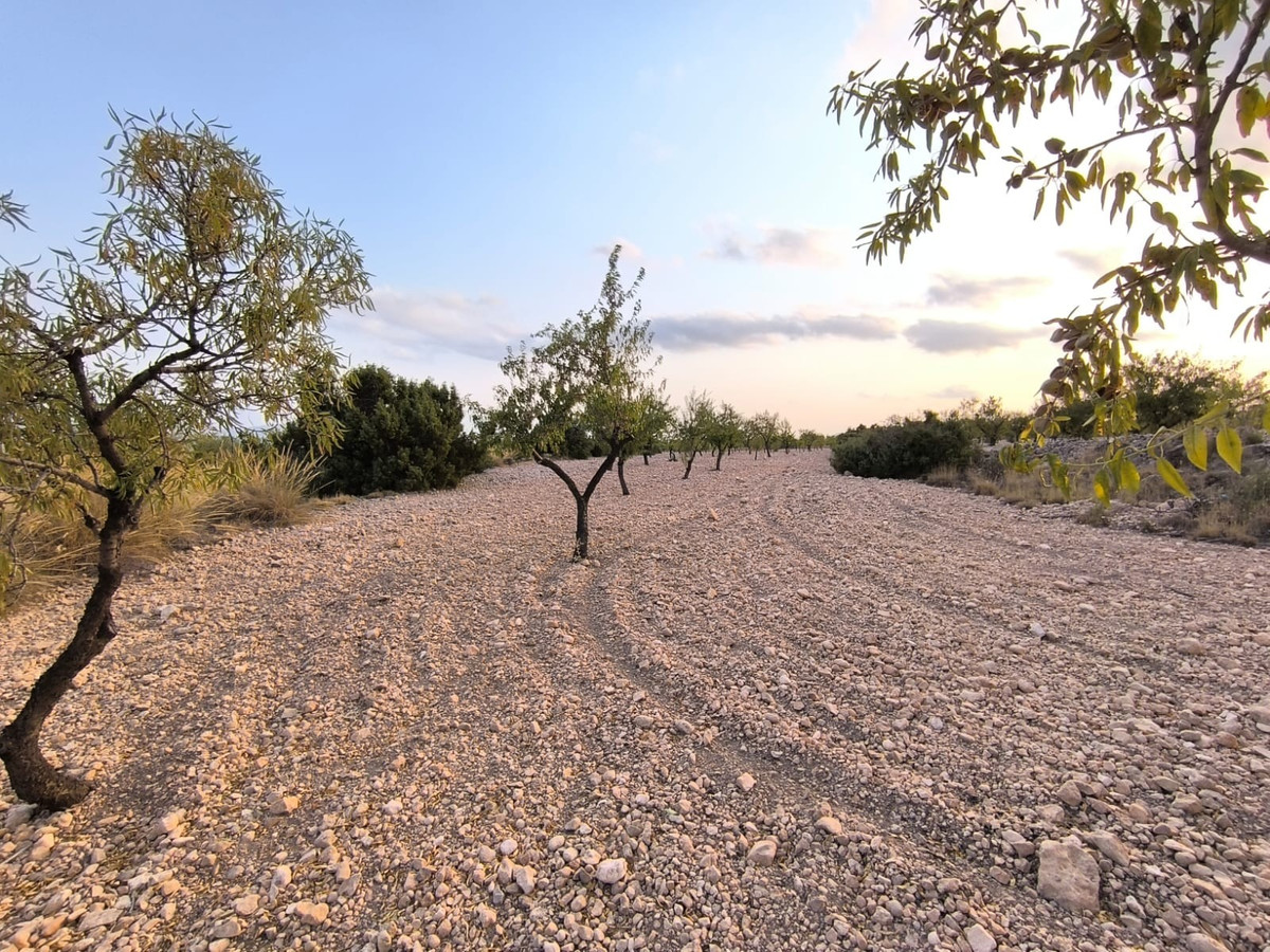 Plots for sale in Pinoso Costa Blanca, Alicante, Spain