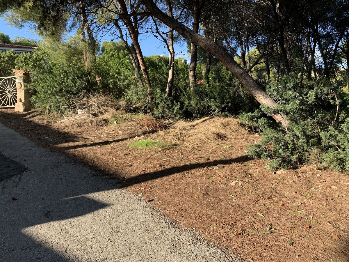 Se vende Terreno Rustico  en Costa Blanca, Alicante, España
