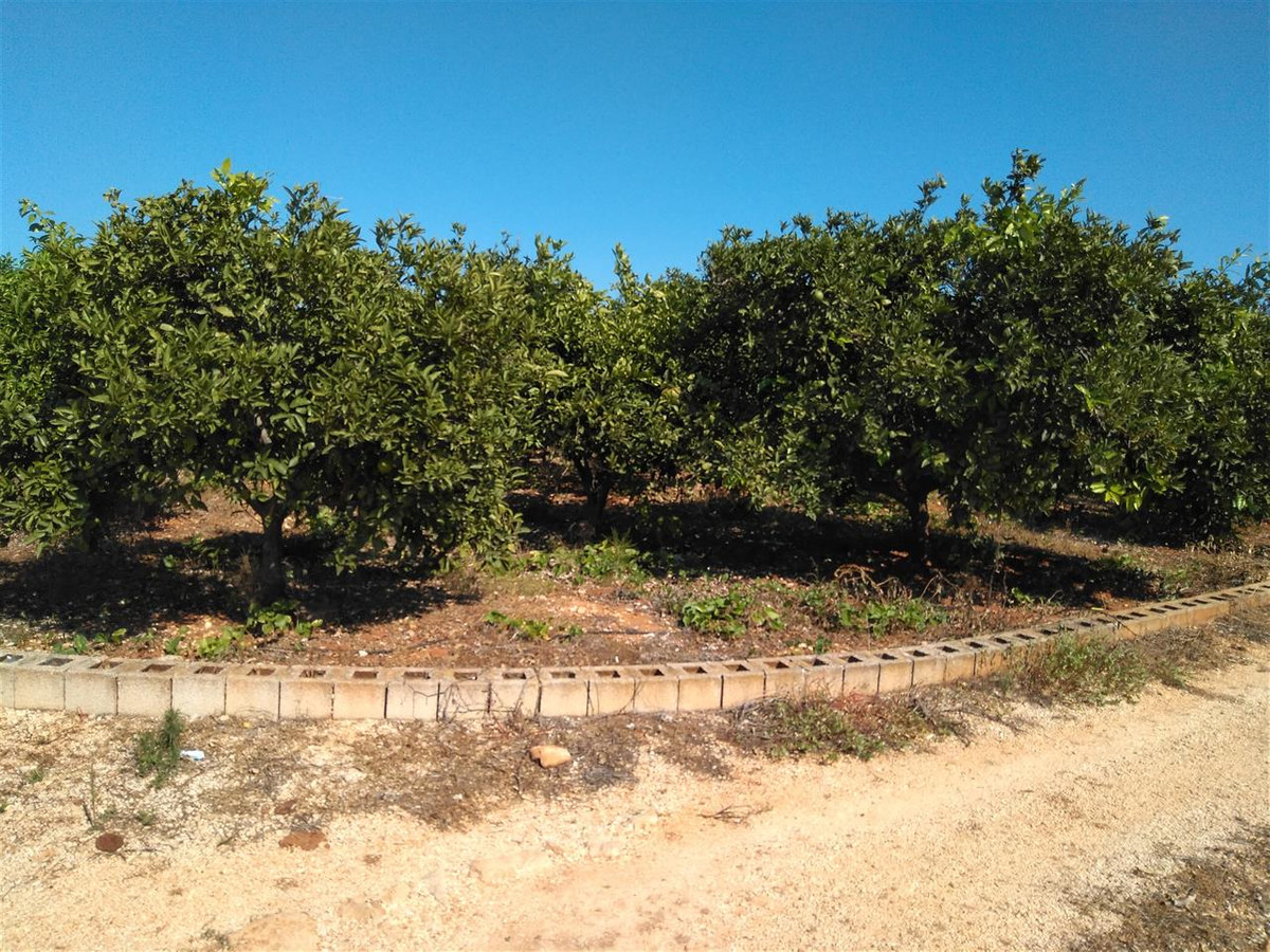 Plots for sale in Ondara Costa Blanca, Alicante, Spain