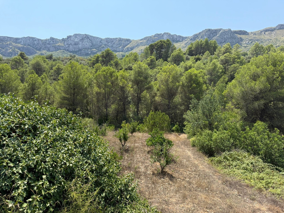 Plots for sale in Beniali Costa Blanca, Alicante, Spain