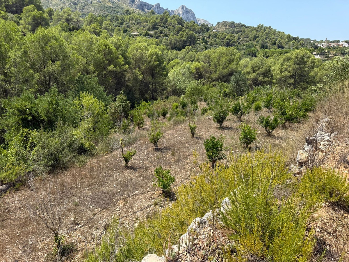 Plots for sale in Beniali Costa Blanca, Alicante, Spain
