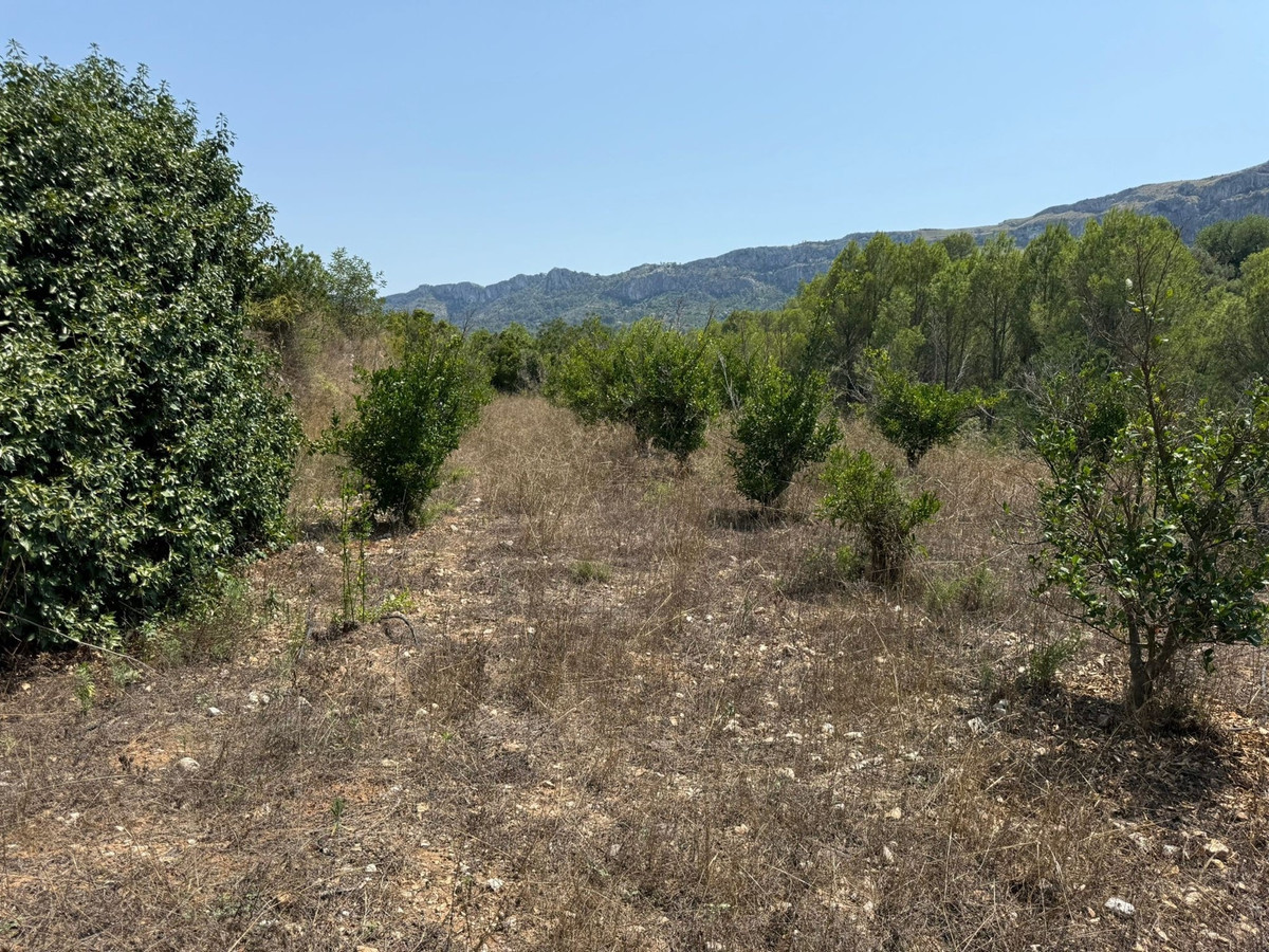 Plots for sale in Beniali Costa Blanca, Alicante, Spain