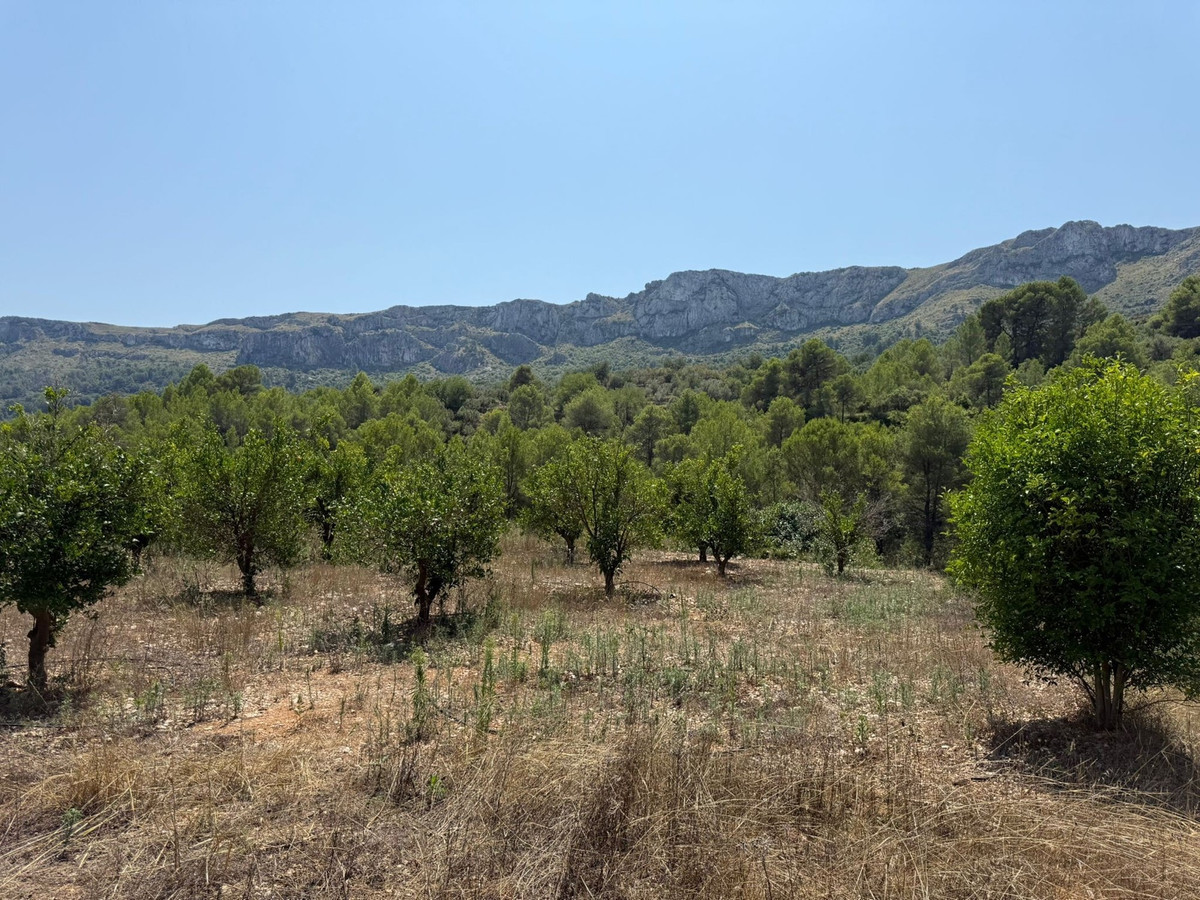 Plots for sale in Beniali Costa Blanca, Alicante, Spain