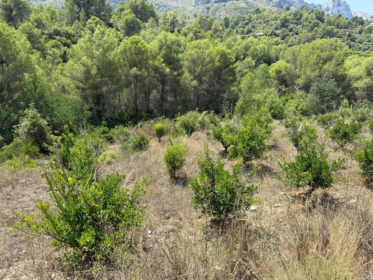 Plots for sale in Beniali Costa Blanca, Alicante, Spain