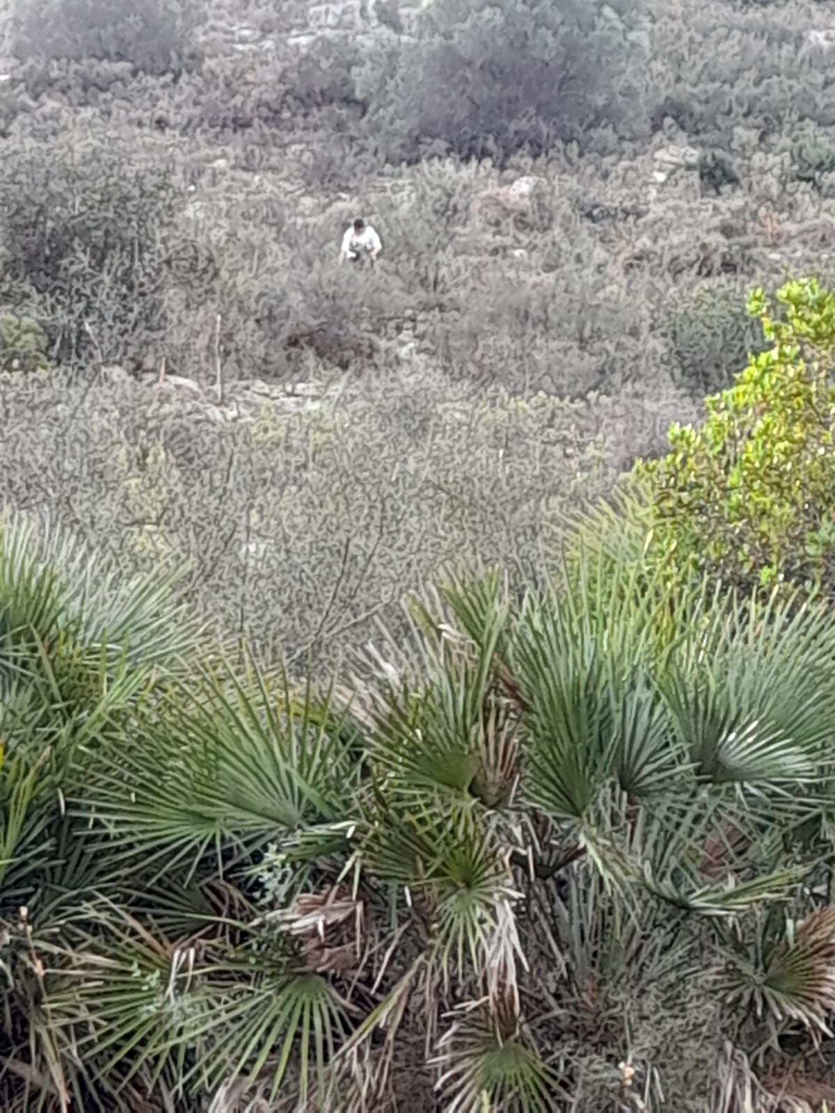 Plots for sale in Benidoleig Costa Blanca, Alicante, Spain