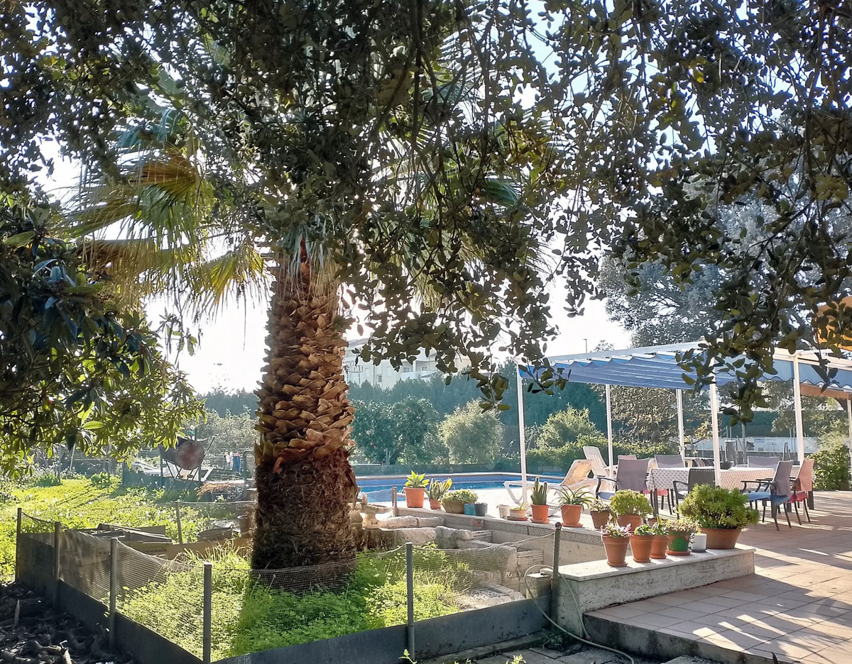 Se vende Villa - Chalet de 4 dormitorios en Costa Blanca, Alicante, España