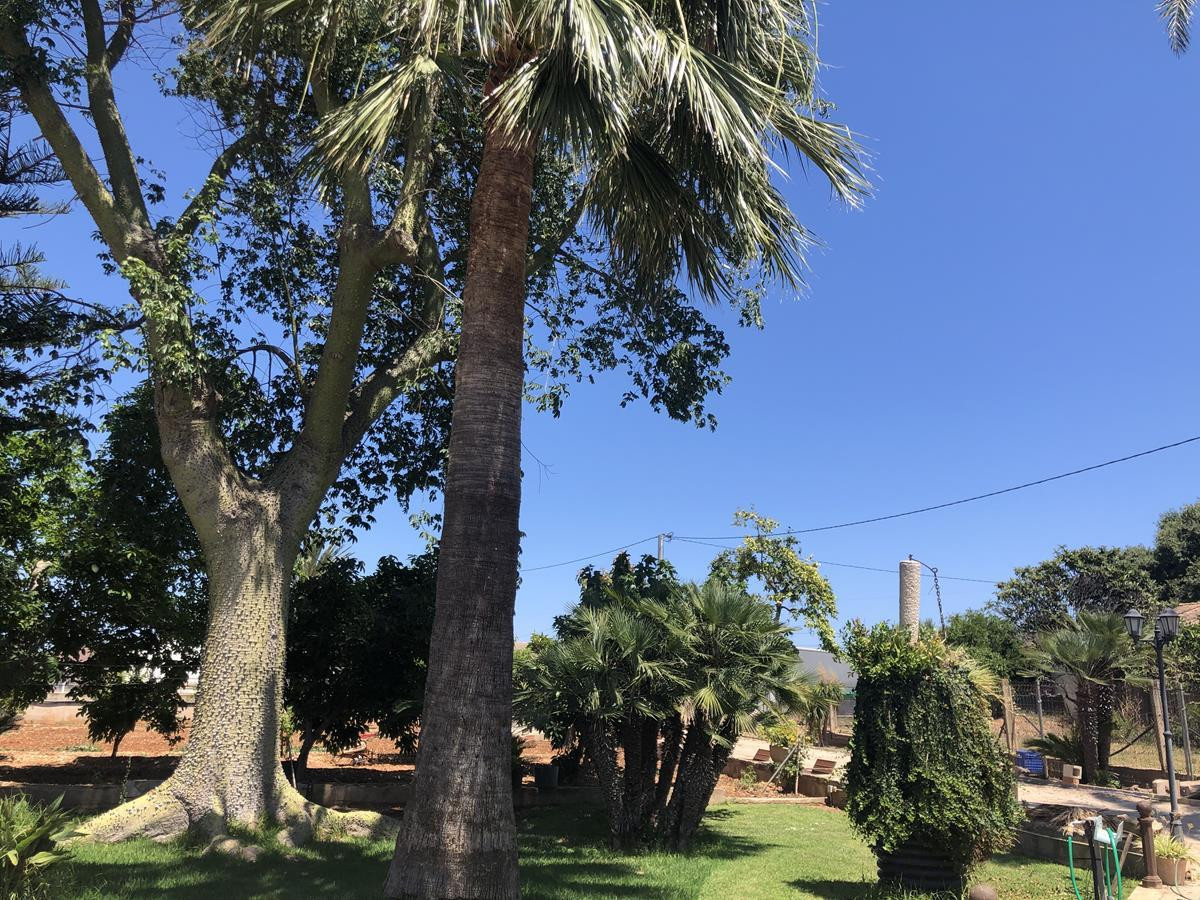 2 Bed Townhouse for sale in Ondara Costa Blanca, Alicante, Spain