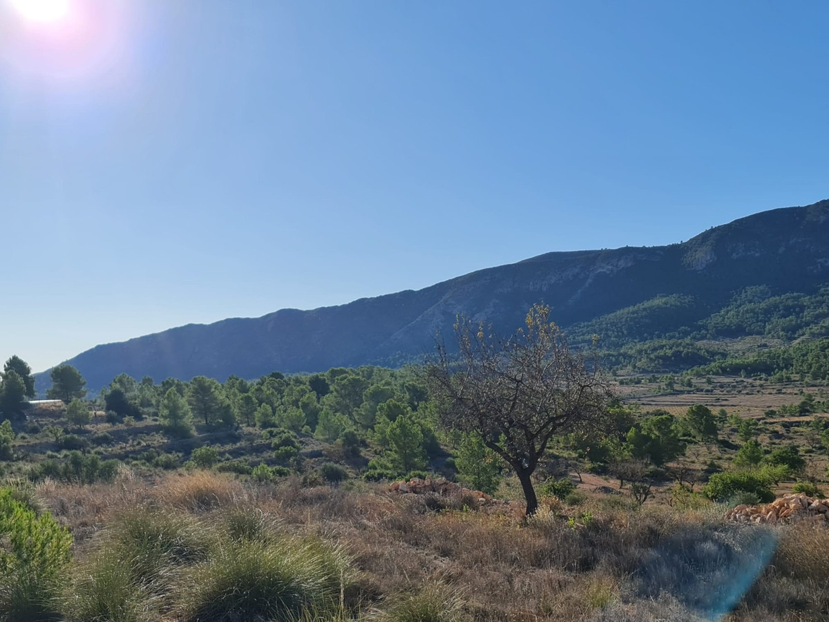 Se vende Terreno Rustico  en Costa Blanca, Alicante, España