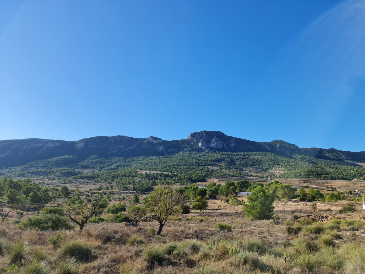 Se vende Terreno Rustico  en Costa Blanca, Alicante, España