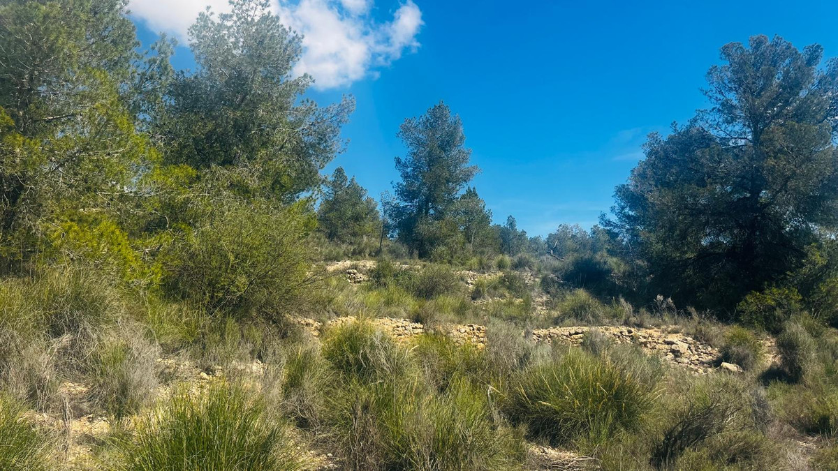 Plots for sale in La Romana Costa Blanca, Alicante, Spain