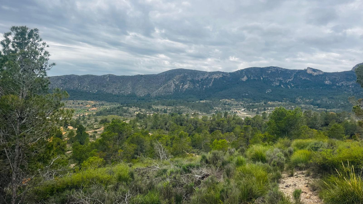 Plots for sale in La Romana Costa Blanca, Alicante, Spain
