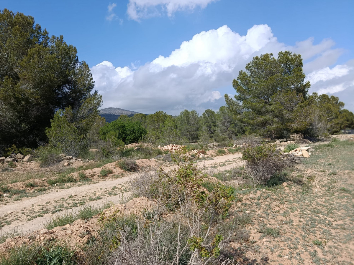Plots for sale in Monóvar Costa Blanca, Alicante, Spain