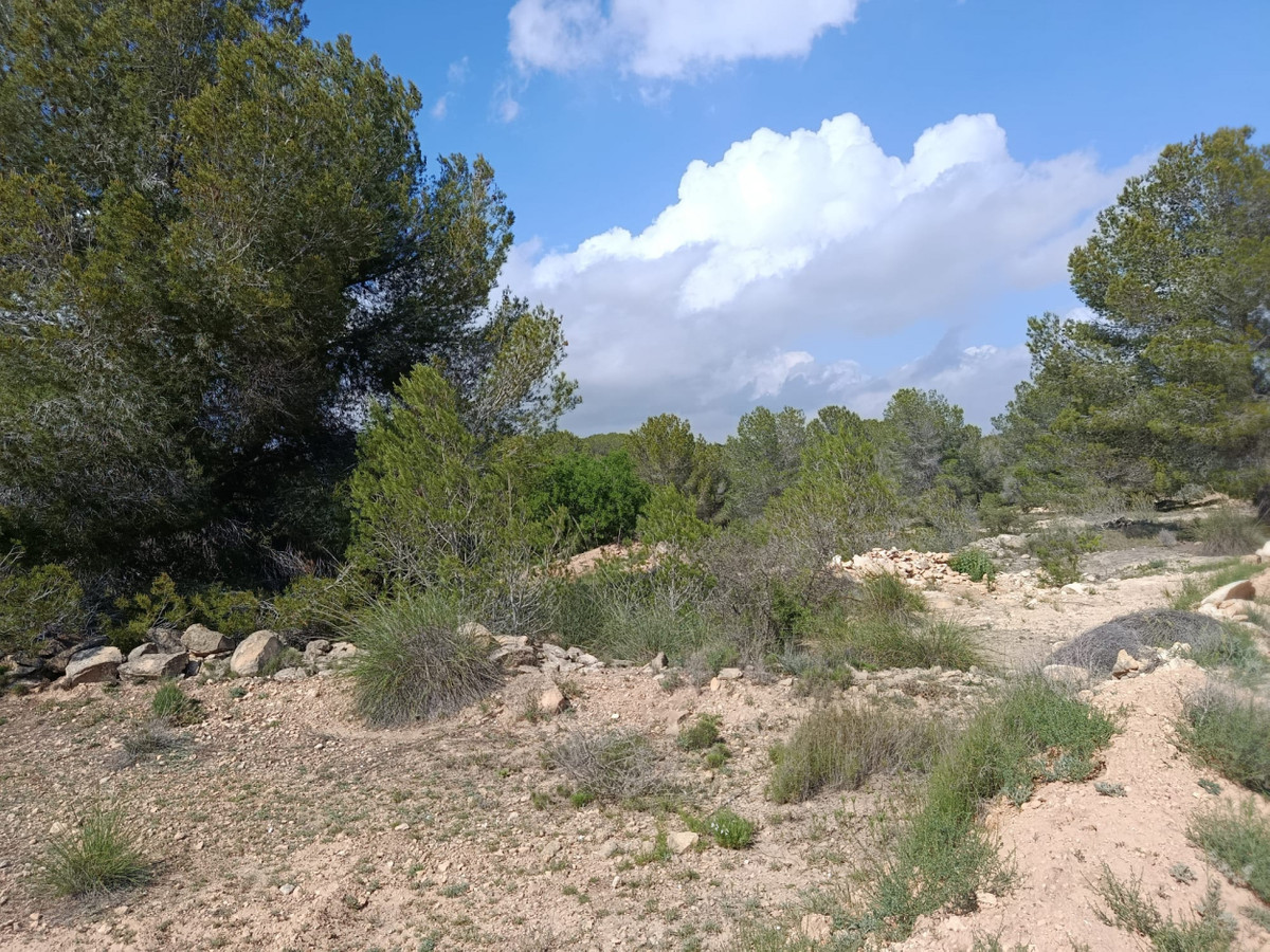 Plots for sale in Monóvar Costa Blanca, Alicante, Spain