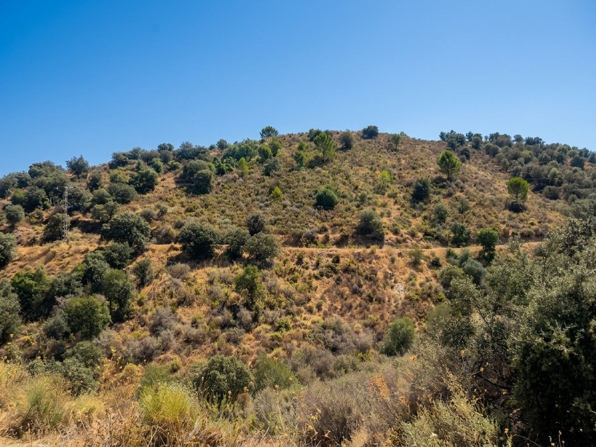 Plots for sale in Monda Costa Del Sol, Málaga, Spain