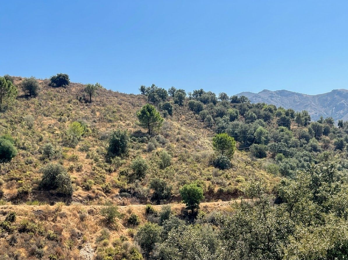 Plots for sale in Monda Costa Del Sol, Málaga, Spain