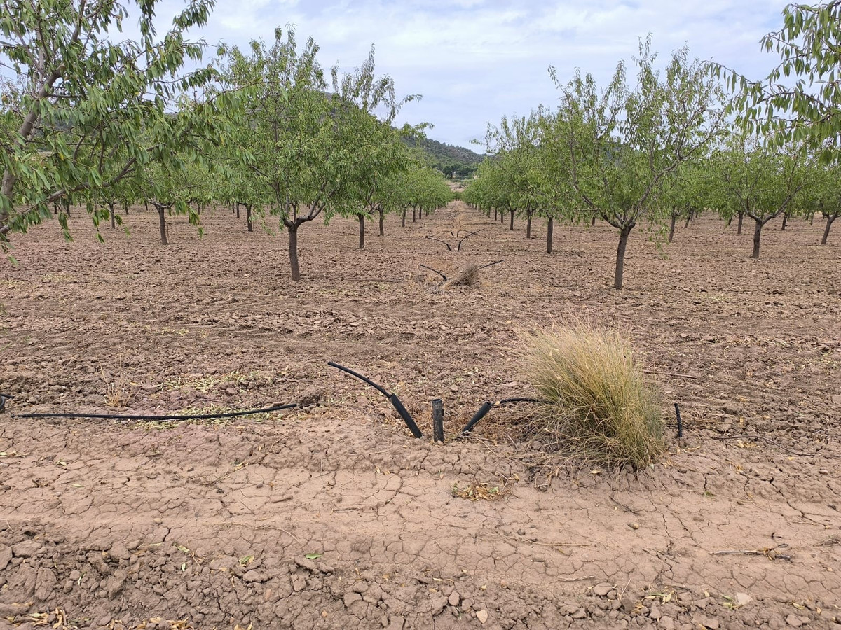 Se vende Terreno Rustico  en Costa Calida, Murcia, España