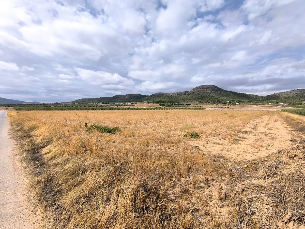Se vende Terreno Rustico  en Costa Calida, Murcia, España