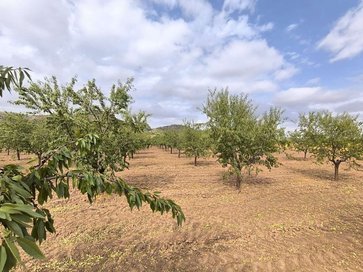 Se vende Terreno Rustico  en Costa Calida, Murcia, España