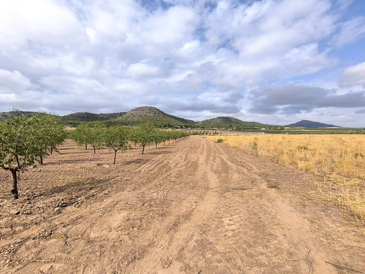 Se vende Terreno Rustico  en Costa Calida, Murcia, España