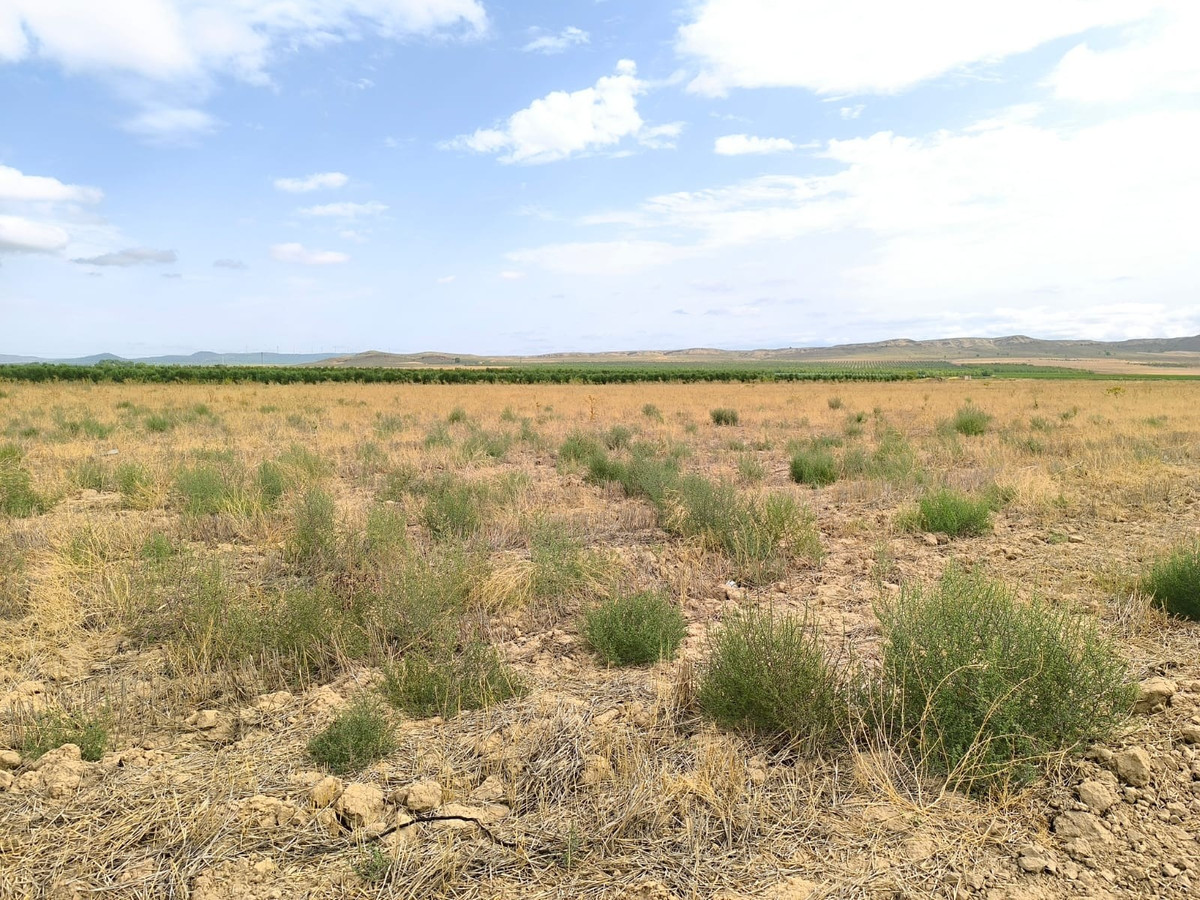 Se vende Terreno Rustico  en Costa Calida, Murcia, España