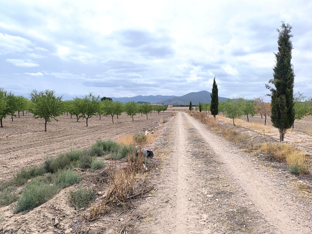 Se vende Terreno Rustico  en Costa Calida, Murcia, España