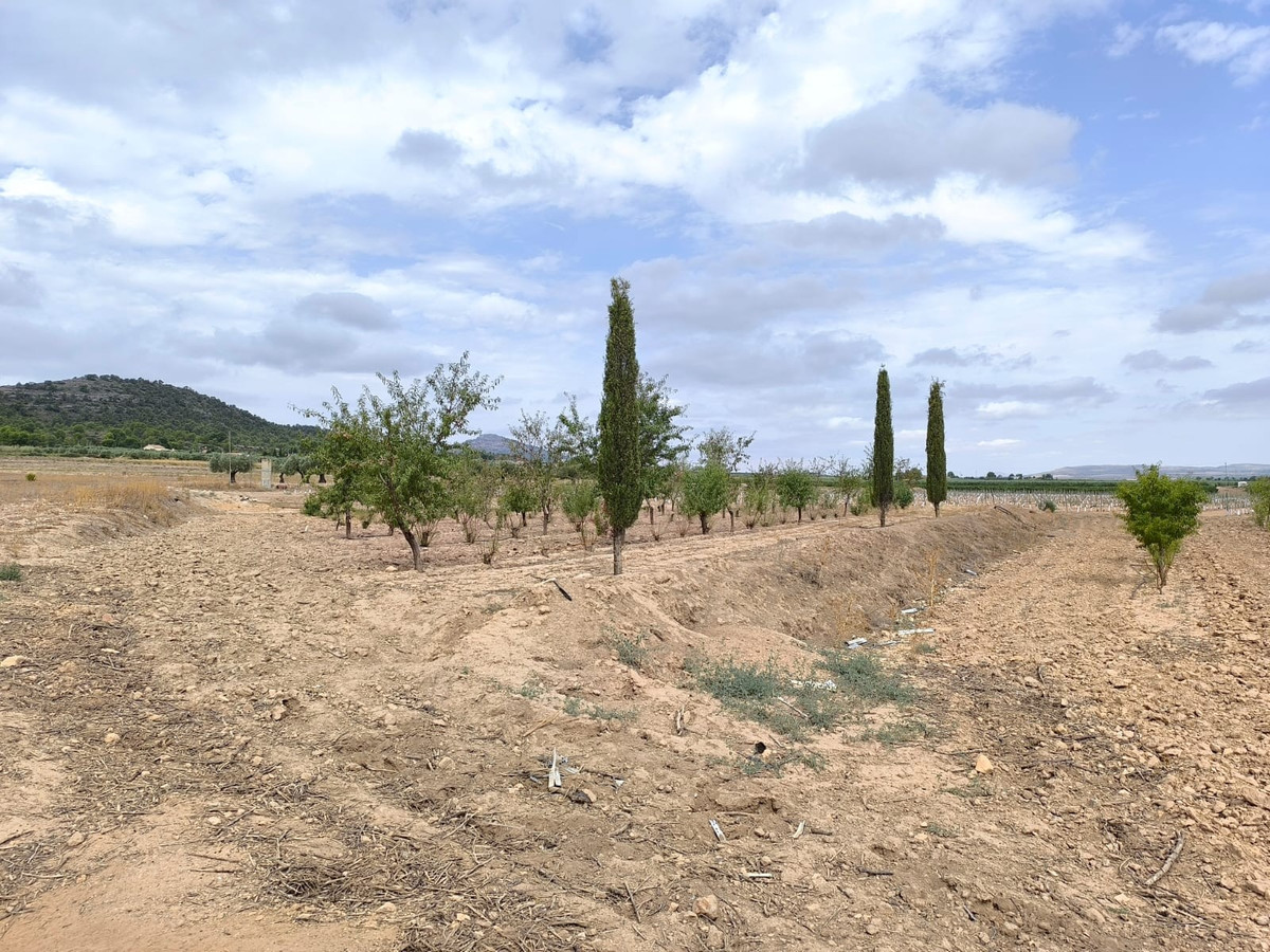 Se vende Terreno Rustico  en Costa Calida, Murcia, España