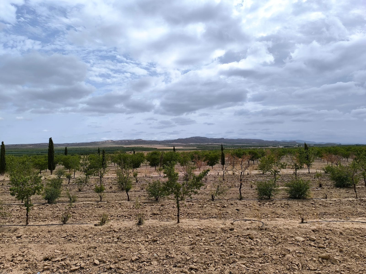 Se vende Terreno Rustico  en Costa Calida, Murcia, España