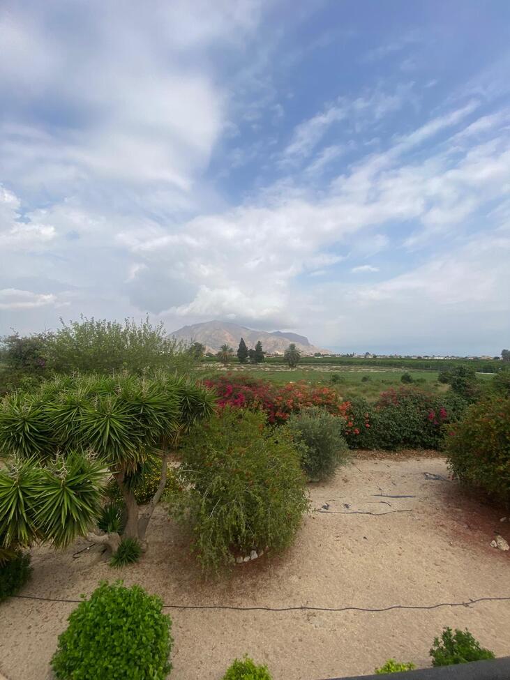 Commercial Property for sale in Orihuela, Alicante, Spain