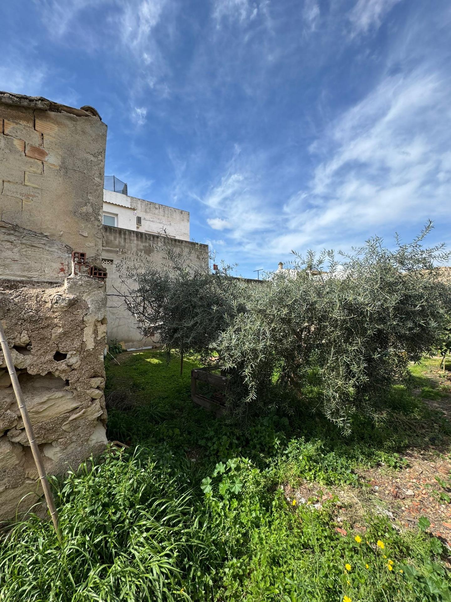 Finca for sale in Jacarilla, Alicante, Spain