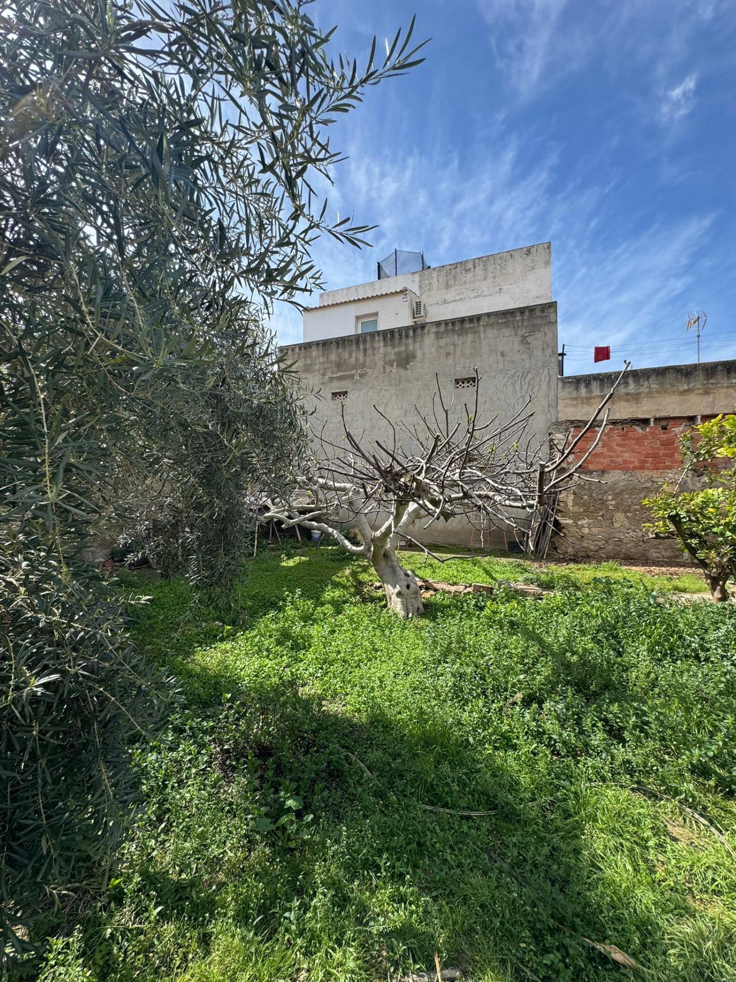 Finca for sale in Jacarilla, Alicante, Spain