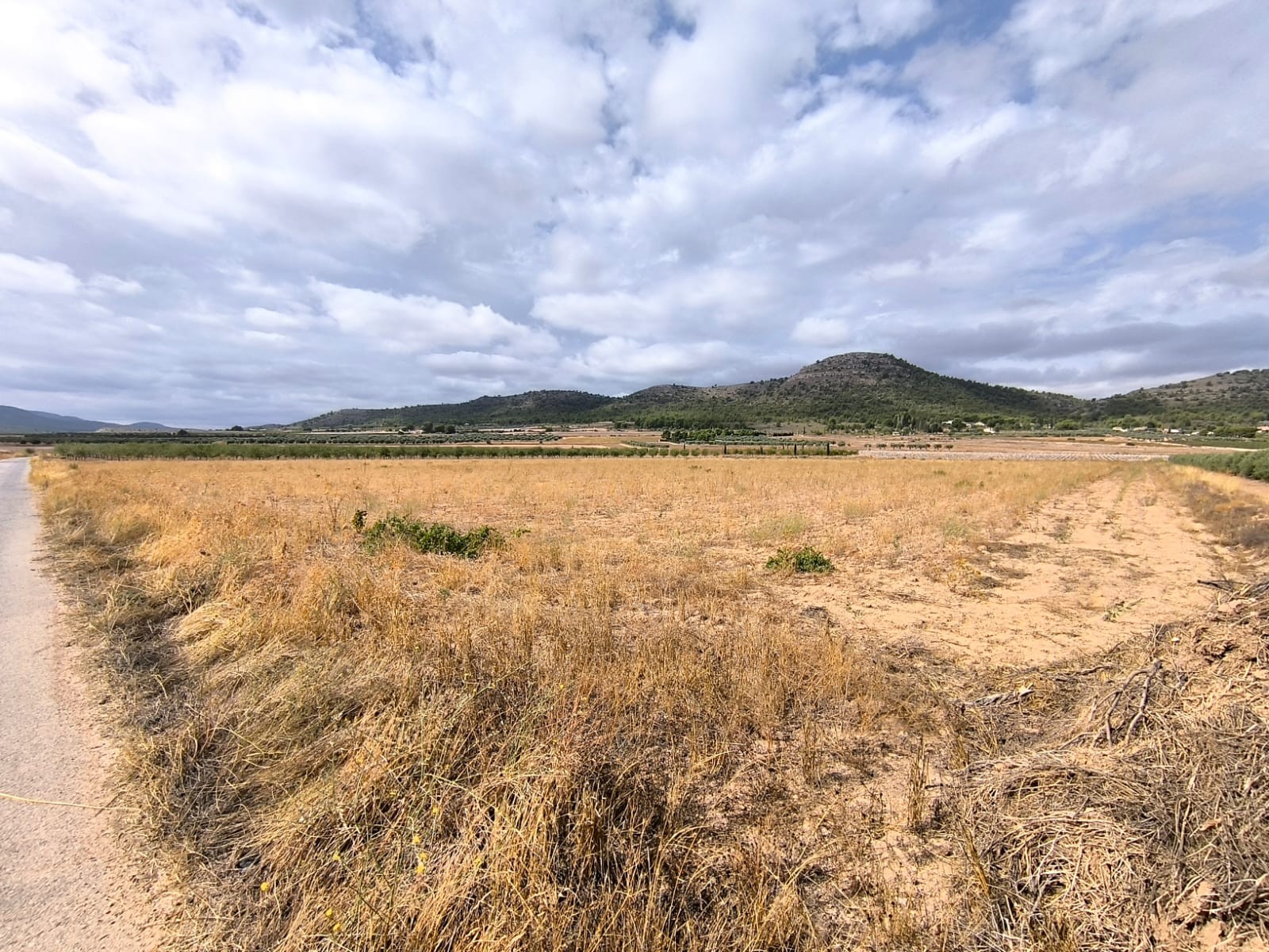 Finca en venta en Yecla
