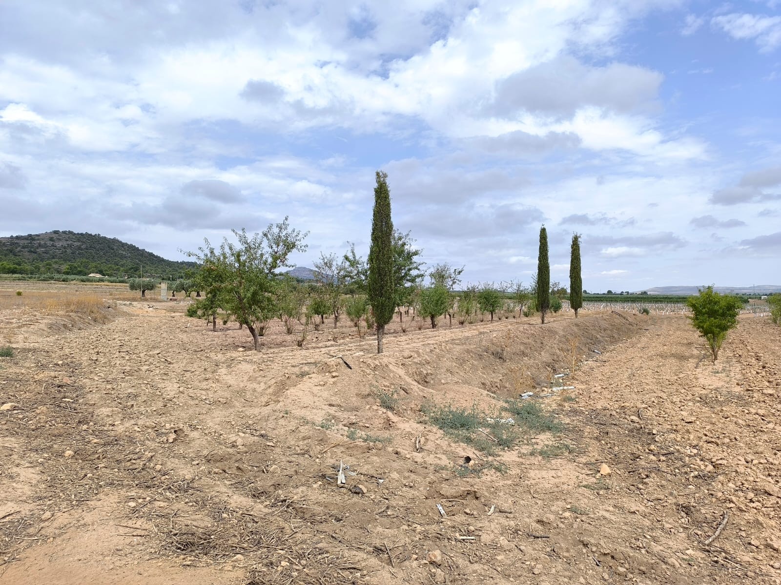 Finca en venta en Yecla