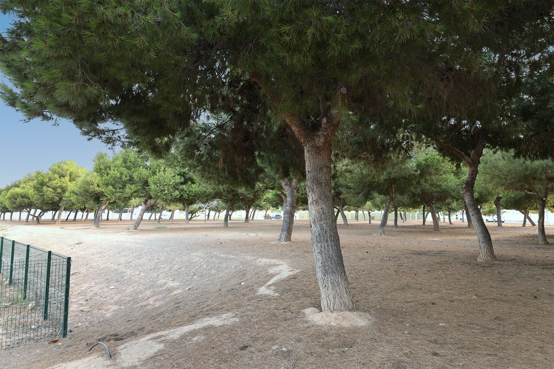 Bungalow en venta en San Pedro Del Pinatar