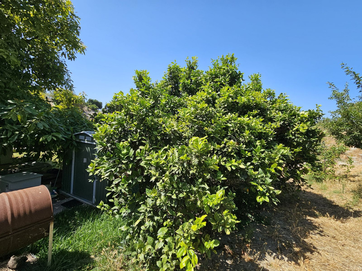 Villa for sale in Casares, Málaga, Spain