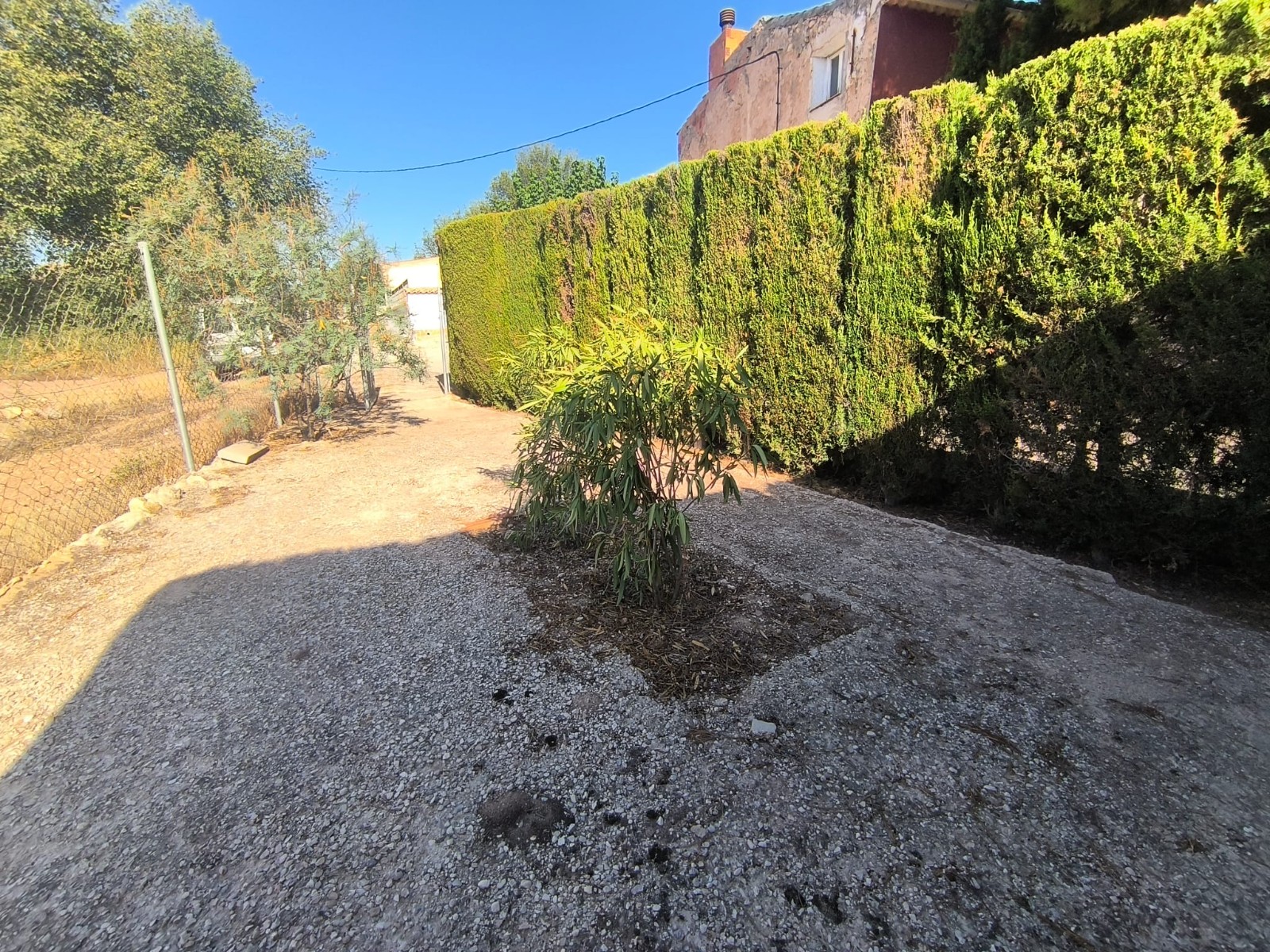 Commercial Property for sale in Monóvarmonóver, Alicante, Spain