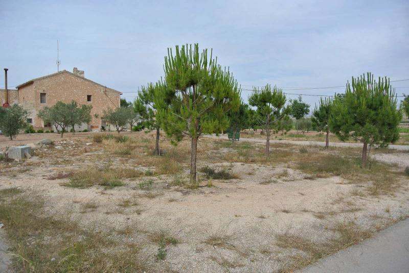 Other for sale in Pinoso, Alicante, Spain